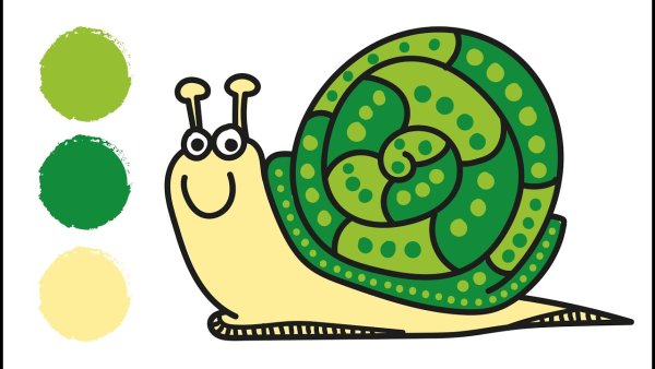 Улитка раскраска для малышей