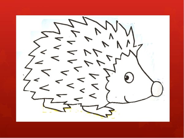 Ежик рисунок для детей