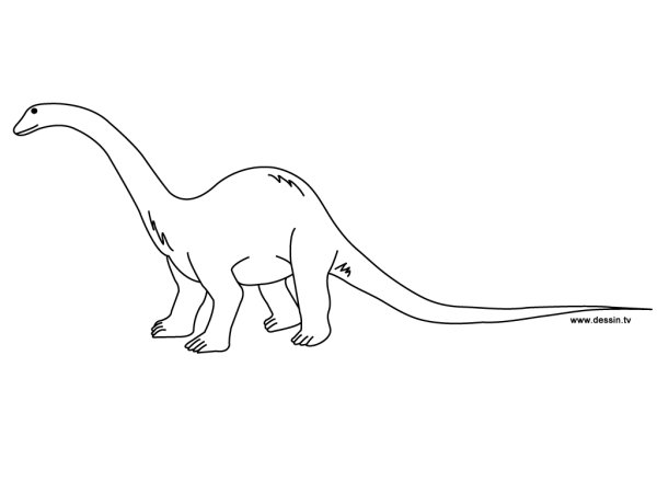 ТЕПЛОТОК раскраска динозавра