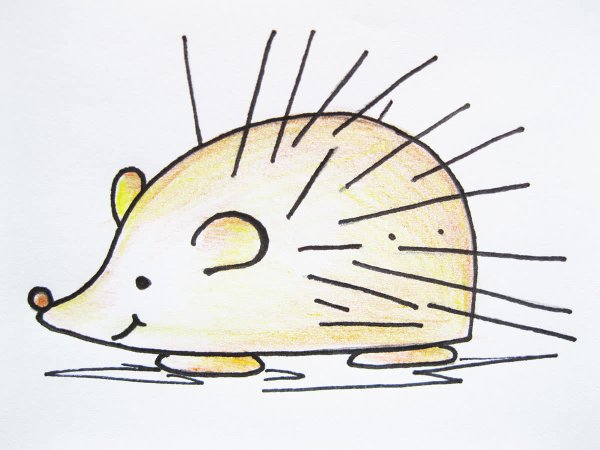 Поэтапное рисование ежика