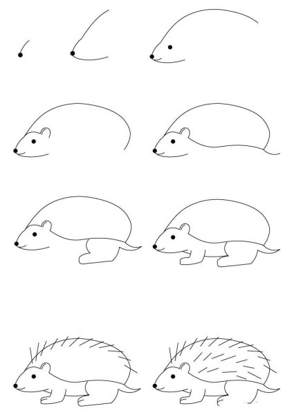 Поэтапное рисование ежика