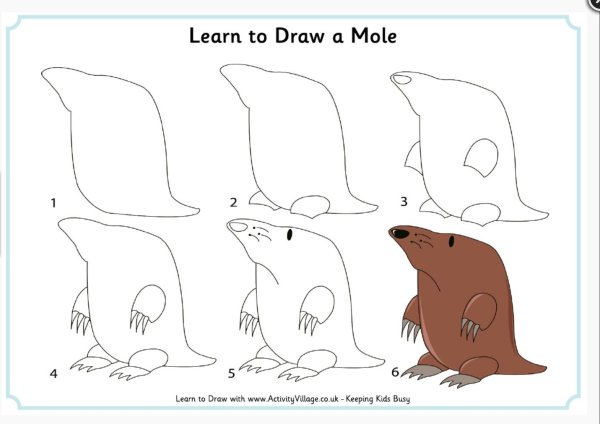 Крот поэтапное рисование