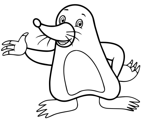 Крот контур