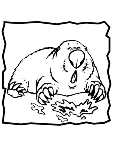 Крот раскраска для детей