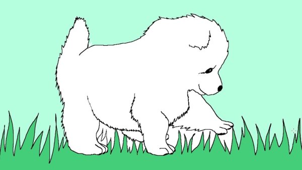 Самоед раскраска