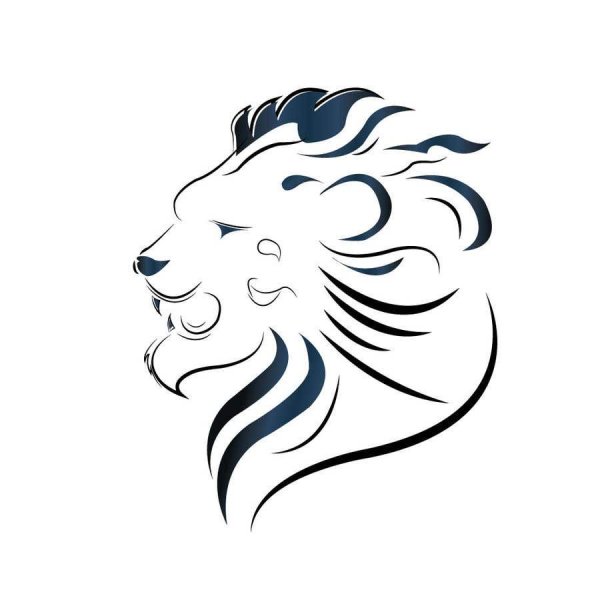 Лев контур профиль