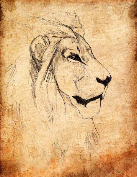 Трафарет Льва для вырезания