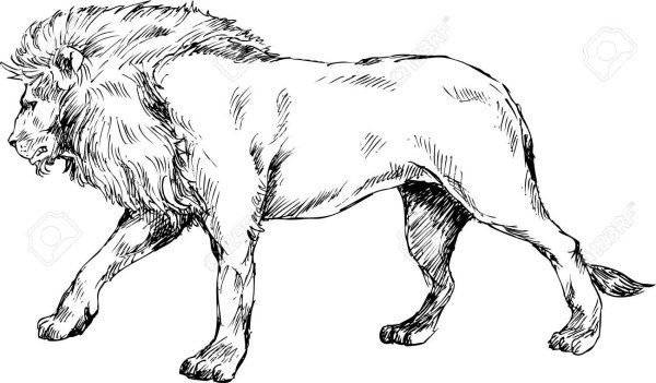 Лев силуэт морда