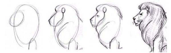 Раскраска Лев