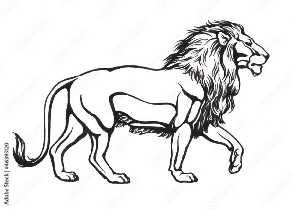 Голова Льва контур