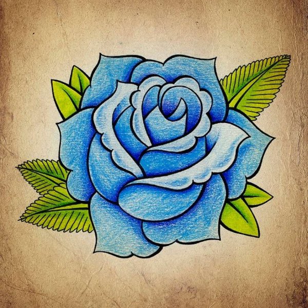 Цветы для срисовки цветные