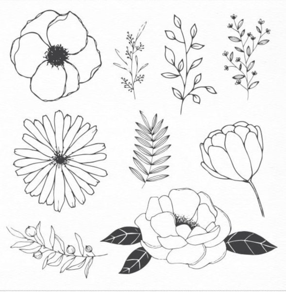 Поэтапное рисование цветы