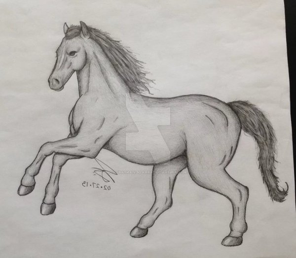 Рисование для детей