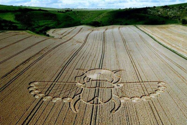 Знаки на полях Краснодарский край