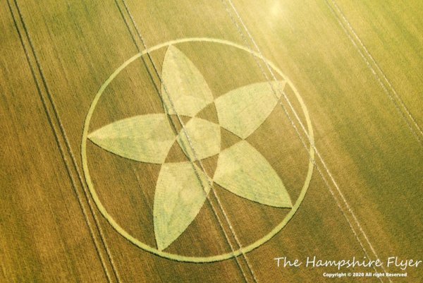 Круги на полях 2021