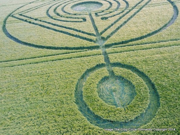 Появление кругов на полях