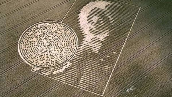 Круги на полях послание инопланетяне