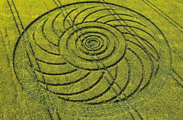 Концентрические круги в природе