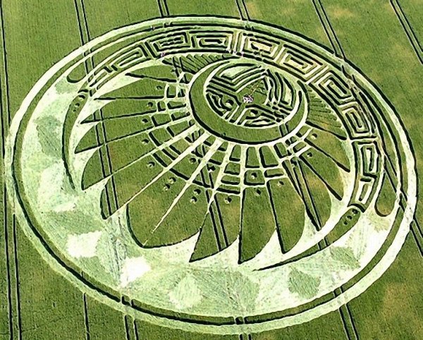 Древние пришельцы круги на полях