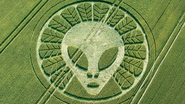 Круги на полях 2020 коронавирус