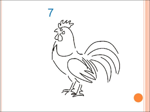 Петух рисунок