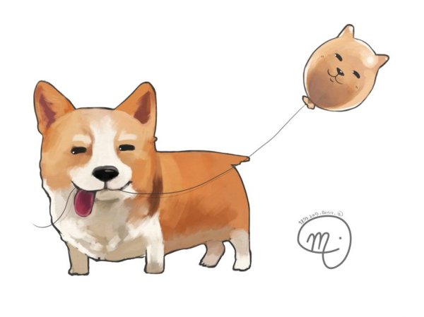 Собака корги для срисовки