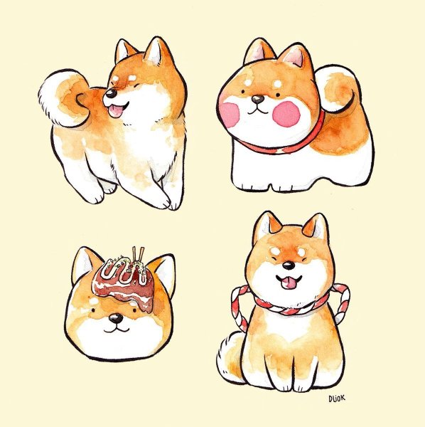 Как нарисовать корги поэтапно