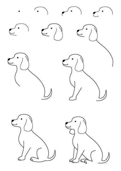 Урок рисования собаки для детей