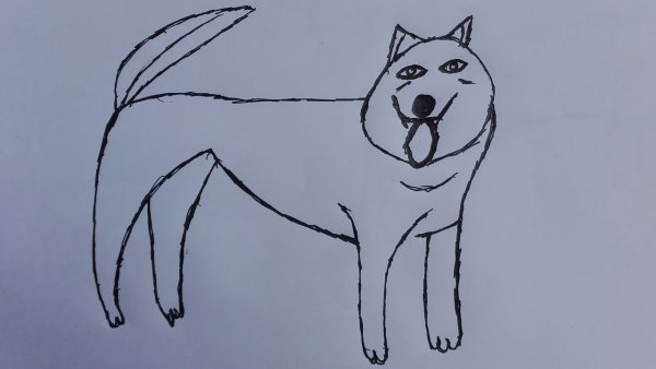 Поэтапное рисование собаки для детей