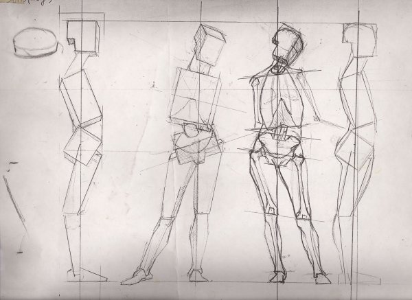 Баммес анатомия человека фигура