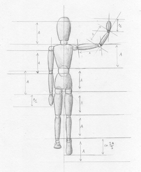 Фигура человека рисунок