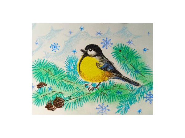 Рисование синички