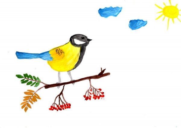 Рисование синички