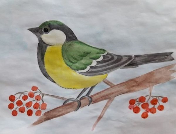 Детские рисунки птиц