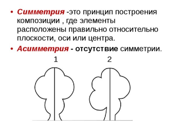 Симметрия и асимметрия
