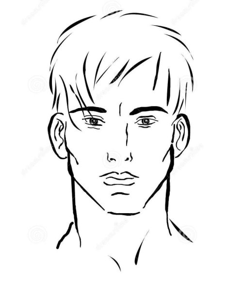 Нарисовать лицо мужчины