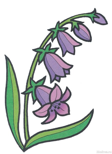 Колокольчик "цветы"