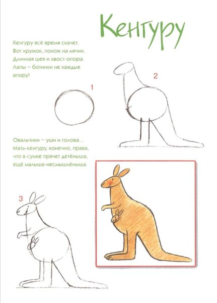 Кенгуру рисунок для детей поэтапно