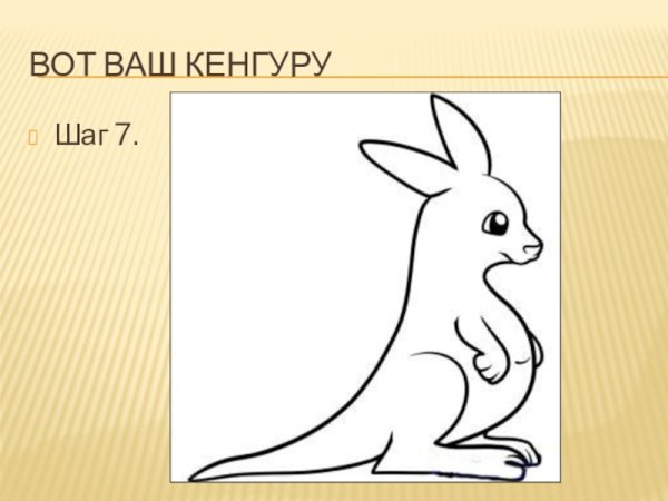 Животные зоопарка раскраски для детей кенгуру