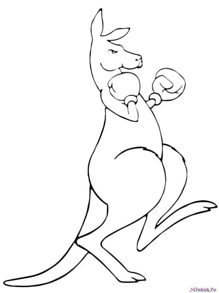 Кенгуру карандашом