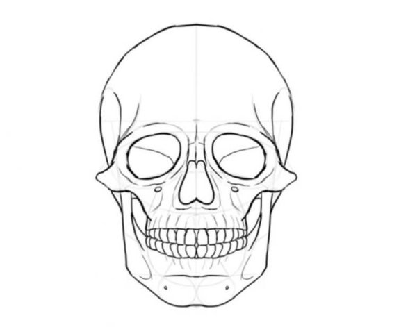 Череп пошагово карандашом