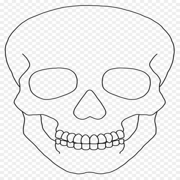 Фото черепа нарисованного