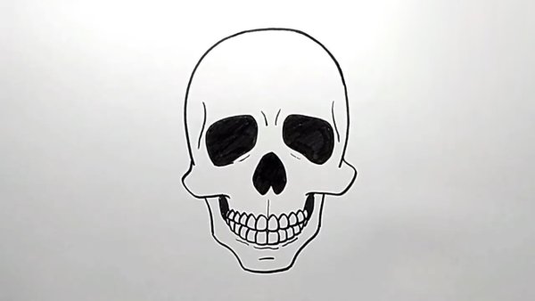 Маленький череп карандашом