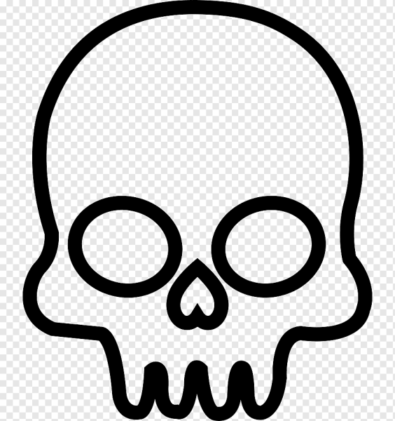 Череп контур