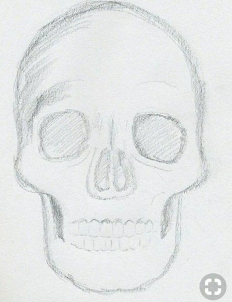 Череп для срисовки