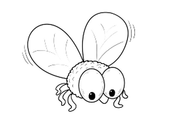 Муха карандашом