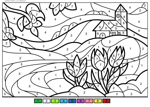 Разукрашки по номерам