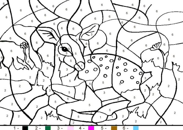 Раскраска по цифрам животные