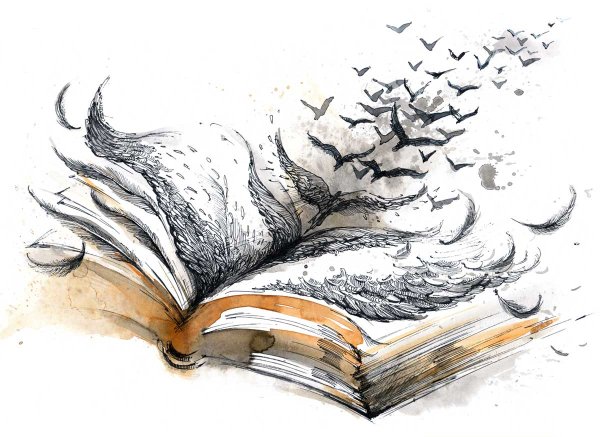 Книга рисунок карандашом для срисовки