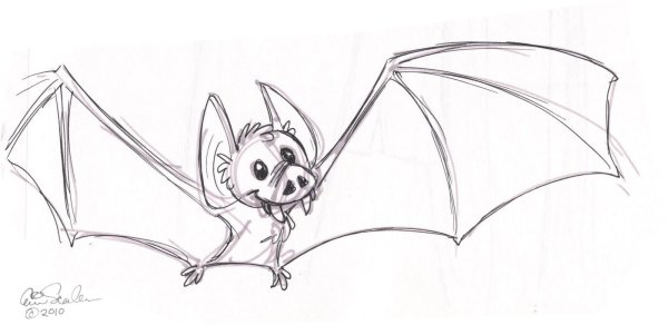 Летучая мышь рисунок карандашом